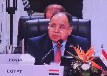 وزير المالية: تطوير الهيكل المالي العالمي لتعزيز المسار التنموي وتسريع التعافي الاقتصادي