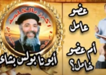 عضو عامل أم عضو خامل