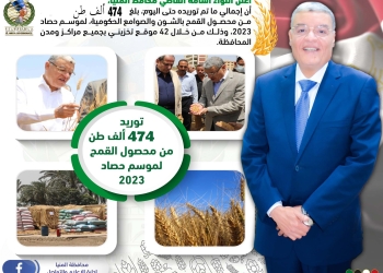 توريد نحو نصف مليون طن قمح بالمنيا.. و42 موقع تخزيني لحفظ محصول الموسم