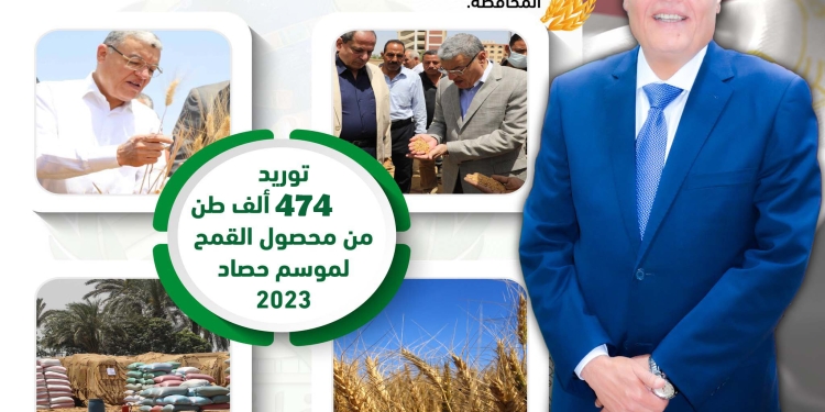 توريد نحو نصف مليون طن قمح بالمنيا.. و42 موقع تخزيني لحفظ محصول الموسم