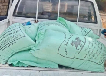 ضبط 91 مخالفة تموينية خلال حملات تفتيشية على الأسواق والمخابز بالمنيا