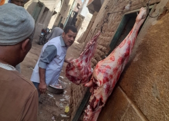 حملة للتفتيش على أماكن بيع اللحوم و ذبحها خارج المجازر الحكومية بالمنيا