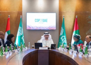 ضمن الاجتماعات الوزارية التمهيدية لمؤتمر المناخ وزيرة التعاون الدولي تشارك فى جلسة رفيعة المستوى لمناقشة تقرير فريق الخبراء المستقل حول إطار جديد لتمويل المناخ