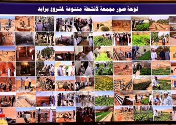 وزير الزراعة يترأس اجتماع اللجنة التنسيقية لمشروع تعزيز القدرة على الموائمة في البيئات الصحراوية”برايد” بمطروح