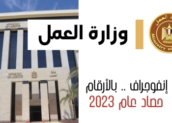 بالإنفوجراف..رصد بعض جهود وزارة العمل في 365 يومًا