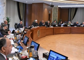 وزير المالية يستعرض موقف مبادرة استيراد سيارات المصريين بالخارج