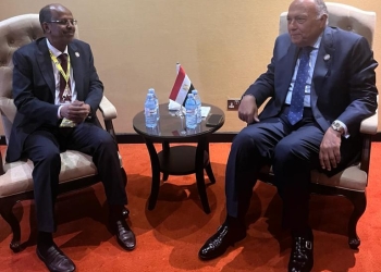 شكري  يلتقي وزير خارجية جيبوتي