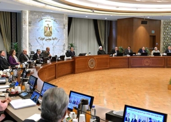 مجلس الوزراء : 10 آلاف جنيه لقنطار القطن متوسط التيلة.. و12 ألف جنيه لطويل التيلة