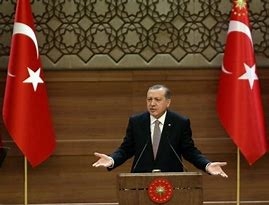 تركيا تبدي إستعدادها لاستضافة قمة للسلام تشارك فيها روسيا وأوكرانيا