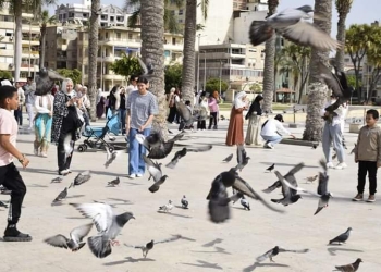 بالصور.. إقبال كثيف من المواطنين على الشواطئ والمتنزهات والحدائق للاحتفال بأعياد الربيع وشم النسيم ببورسعيد