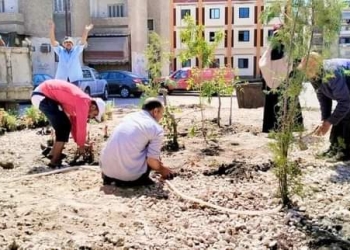 مقلب للقمامة يتحول إلى مسطحات خضراء بحي الزهور ببورسعيد