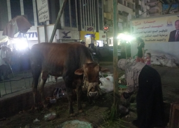 شبرا تحتفل بشعائر عيد الأضحى
