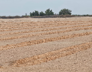 دير “مارمينا” بمريوط يناشد المسئولين بإزالة التعديات بمنطقة أبو مينا الأثرية