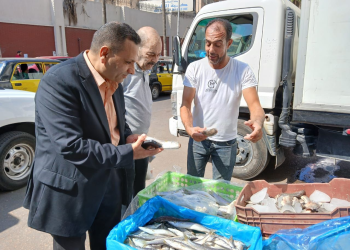 ضمن مبادرة “بداية”.. تموين الإسكندرية تُطلق قافلة لتوفير السلع الغذائية بأسعار مخفضة