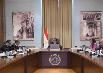 وزير الخارجية : القارة الأفريقية تأتي فى مقدمة أولويات السياسة الخارجية المصرية .. و تعد إحدى الدوائر الرئيسية للتحرك المصري الخارجي