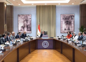 “الصياد”: من المتوقع أن تنخفض أسعار الدواجن مرة أخرى بسبب انخفاض أسعار الأعلاف