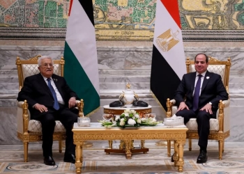 الرئيس السيسي يلتقي الرئيس الفلسطيني محمود عباس على هامش قمة الدول الثماني النامية للتعاون الاقتصادي