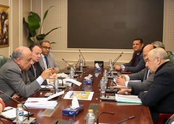 وزيرا الكهرباء وقطاع الأعمال العام يبحثان سبل التعاون في مجال الطاقة المتجددة والتحول الأخضر