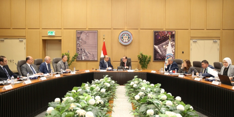 وزيرا قطاع الأعمال العام والمالية يبحثان تعزيز التعاون في الملفات المشتركة وفض التشابكات المالية