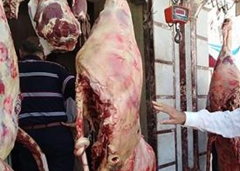 حملة للرقابة على محلات الجزارة والمحلات التجارية بكفر شكر