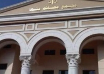 الإعدام لسائق تروسيكل قتل مسنة لسرقتها بطوخ