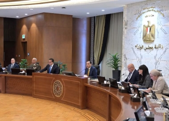 ” الوزراء”  يشيد ببيان القمة العربية بشأن اعتماد خطة الدولة المصرية  بإعادة إعمار غزة باعتبارها خطة عربية جامعة