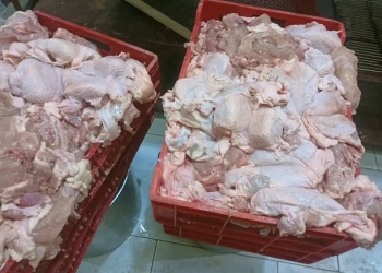 تكثيف الحملات البيطرية لضبط الأسواق والمجازر والتأكد من جودة المنتجات