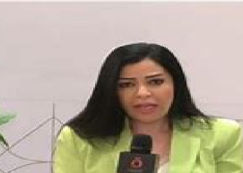 أمل الحناوى: القمة العربية الطارئة ستؤكد على ضرورة السعى لحل الدولتين الثلاثاء