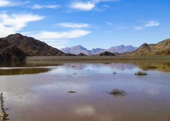 مشروعات كبرى في مجال الموارد المائية والري لتنمية سيناء خلال الاحتفال بعيد تحرير سيناء