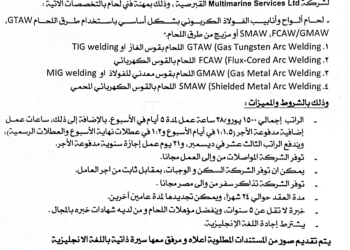 وزير العمل يعلن فرص عمل لمهنة فني لحام للعمل بشركة قبرصية