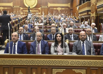 خلال  جلسة مجلس الشيوخ  *وزير قطاع الأعمال: ننفذ مشروعات عديدة لتوطين التكنولوجيا الصناعية وتعزيز التحول الأخضر