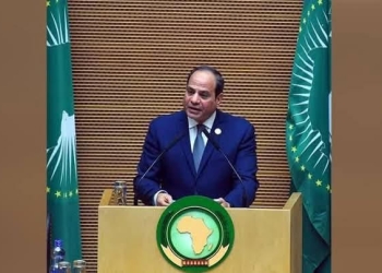 الرئيس السيسي : الخامس والعشرين من مايو من كل عام نحتفل بيوم إفريقيا.. يوم الوحدة والتضامن