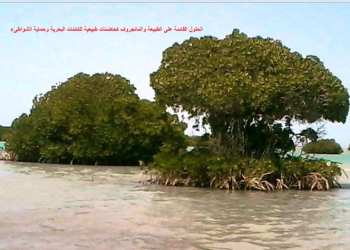 شراكة بيئية جديدة بالإسماعيلية: نحو حلول قائمة على الطبيعة وحماية الشواطئ والطاقة النظيفة