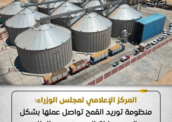 الوزراء: منظومة توريد القمح تواصل عملها بشكل منتظم وسط إقبال مستمر من المزارعين