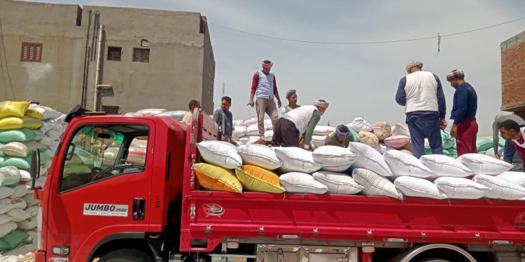 توريد أكثر من 25000 طن من الأقماح المحلية فى محافظة الأقصر