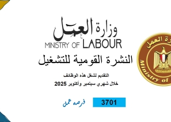 وزارة العمل تُصدر نشرة التوظيف نصف الشهرية.. بالتعاون مع القطاع الخاص