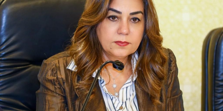 وزيرة التنمية المحلية تتابع مع المحافظين الإجراءات الخاصة بتحديد أسعار تعريفة الركوب الجديدة لسيارات الأجرة