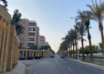 وزيرة التنمية المحلية تتلقى تقريراً حول جهود الوزارة في دعم استعدادات محافظة الجيزة لاحتفالية افتتاح المتحف المصرى الكبير