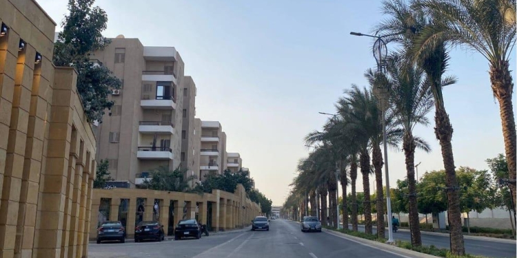 وزيرة التنمية المحلية تتلقى تقريراً حول جهود الوزارة في دعم استعدادات محافظة الجيزة لاحتفالية افتتاح المتحف المصرى الكبير