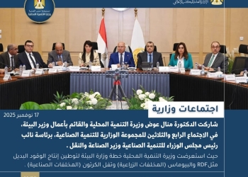 بالإنفوجراف “التنمية المحلية × أسبوع”