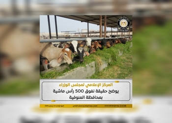 حقيقة نفوق 500 رأس ماشية بمحافظة المنوفية