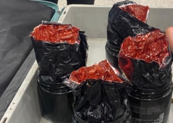 جمارك مطار القاهرة تتصدي لهجمات مهربي المخدرات بضبط ١١ كيلو ونصف مجددا