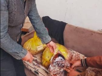 حملة رقابية مكبرة بالقليوبية تضبط 3 أطنان من اللحوم والدواجن الفاسدة في الخصوص