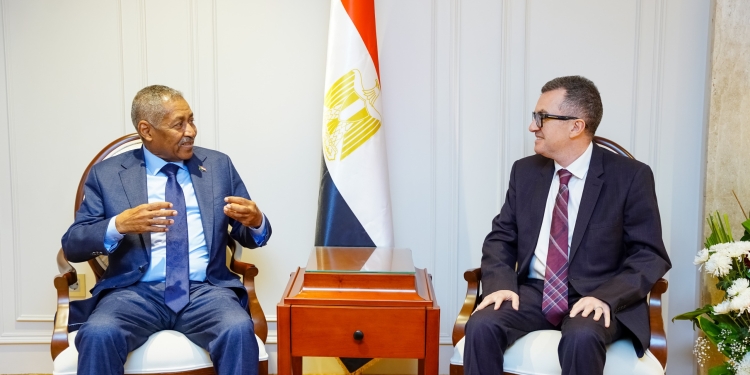 وزير التخطيط والتنمية الاقتصادية يبحث مع السفير السوداني آليات دعم إعادة الإعمار ونقل الخبرات المصرية وتعزيز الشراكة التنموية
