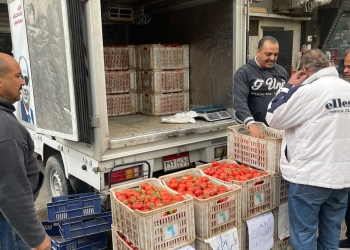 القابضة للصناعات الغذائية تطرح كيلو الطماطم بسعر 21.5 جنيها بالمنافذ المتنقلة