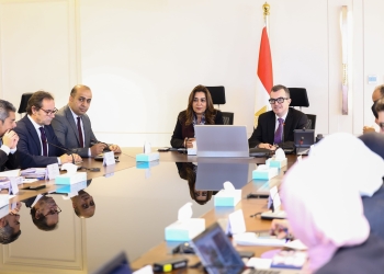 وزير التخطيط والتنمية يبحث مع وزيرة التنمية المحلية والبيئة ملامح الخطة الاستثمارية للعام المالي 2026/2027