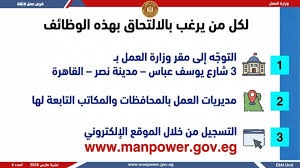 بالتعاون مع القطاع الخاص .. 4435 وظيفة ضمن نشرة التوظيف الأسبوعية لوزارة العمل..وذوو الهمم في قلب المشهد