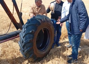 رئيس “البحوث الزراعية” يفتتح موسم حصاد المحاصيل الاستراتيجية بمحطة الفرافرة