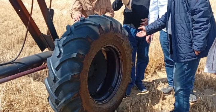رئيس “البحوث الزراعية” يفتتح موسم حصاد المحاصيل الاستراتيجية بمحطة الفرافرة