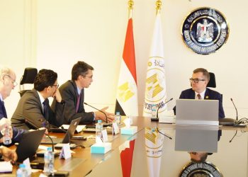 وزير التخطيط والتنمية الاقتصادية يبحث مع البنك الدولي جهود إعداد استراتيجية الاستثمار الأجنبي المباشر